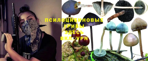 МДПВ Киреевск